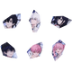 Pre-order Link Click Surprise Lenses Refrigerator Magnet