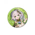 Genshin Impact Badge Anniversary Celebration Series