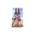 Genshin Impact Quicksand Standee Character PV Series