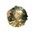Genshin Impact Badge Destined Day Series