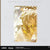 Honkai: Star Rail Acrylic Ornament Ophorus Heroic Saga Series