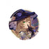 Genshin Impact Badge Destined Day Series