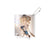 Genshin Impact Acrylic Coaster Destined Day Series