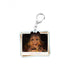Genshin Impact Acrylic Pendant Character PV Series