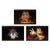 Genshin Impact Photo Card Album Character PV Series
