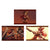 Genshin Impact Photo Card Album Character PV Series