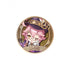Genshin Impact Character Badge 2024 Carnival Gathering Series