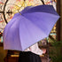Genshin Impact Badge Standee Stamp Photo Frame Stick-it Storage Cloth Umbrella Keqing - Glistening Night Banquet Series