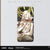 Honkai: Star Rail Badge The Fables of the Stars Series