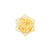 Genshin Impact Badge Sumeru Akademiya Celebration Series