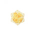 Genshin Impact Badge Sumeru Akademiya Celebration Series