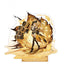 Genshin Impact Character Acrylic Standee Wish Series