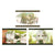 Genshin Impact Photo Card Album Character PV Series