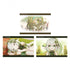 Genshin Impact Photo Card Album Character PV Series