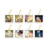 Genshin Impact Photo Card Blind Box Hanging & Display Acrylic The Road Not Taken Series