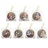 Genshin Impact Character CD Style Pendant Concert Theme