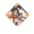 Heaven Official’s Blessing Four Spirits Series Magnet Charm Bookmark Ornament Scroll Shikishi