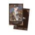 Pre-order Link Click Steam Age Polaroid