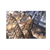 Pre-order Link Click Steam Age Borderless Tactile Silver Paper