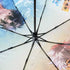 Link Click When Light Falls 8-Rib Automatic Umbrella & Bag Set
