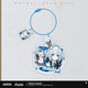 Pre-order Honkai: Star Rail Acrylic Pendant Little Kitten Series Amphoreus Phainon