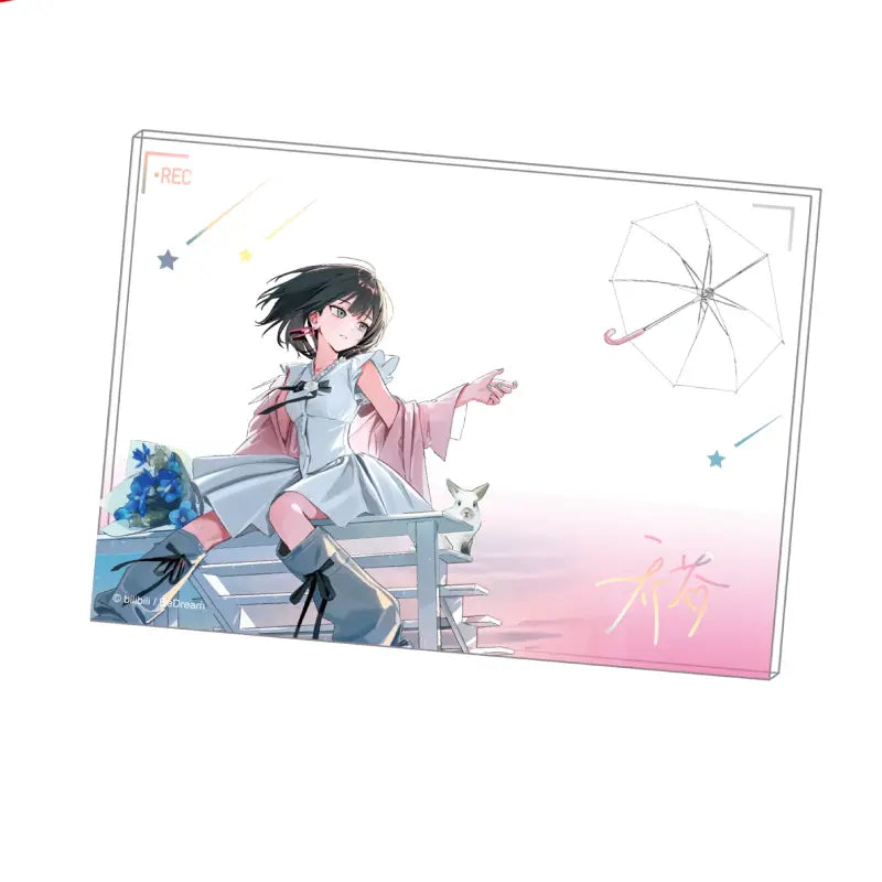 Link Click acrylic character board for fan display
