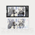 Zenless Zone Zero Collectible Card Set Victoria Housekeeping