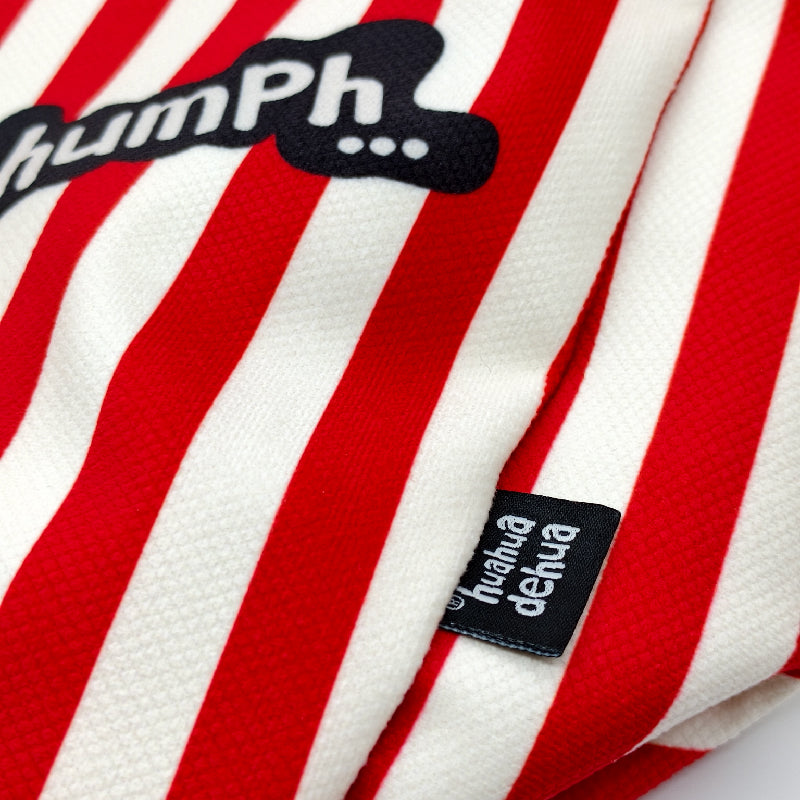 CCTV Cute panda Hua Hua striped tote bag